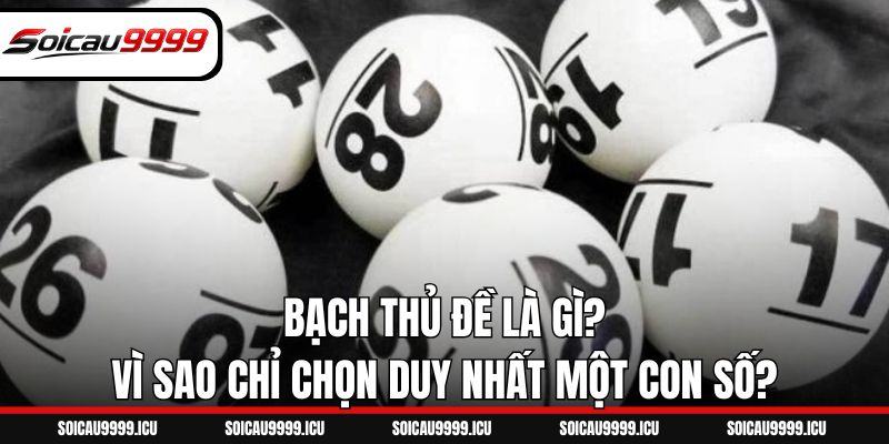 Bạch Thủ Đề Là Gì? Vì Sao Chỉ Chọn Duy Nhất Một Con Số?