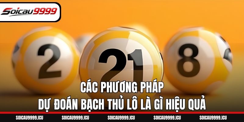 Các phương pháp dự đoán bạch thủ lô là gì hiệu quả