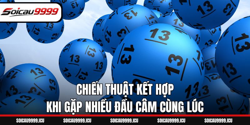Chiến thuật kết hợp khi gặp nhiều đầu câm cùng lúc