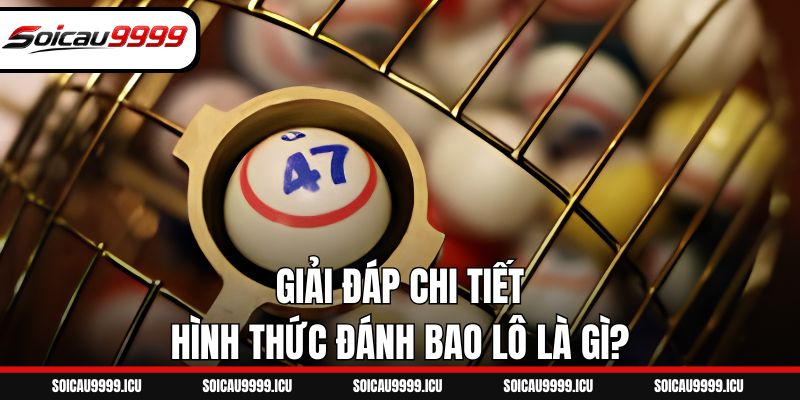 Giải đáp chi tiết hình thức đánh bao lô là gì?