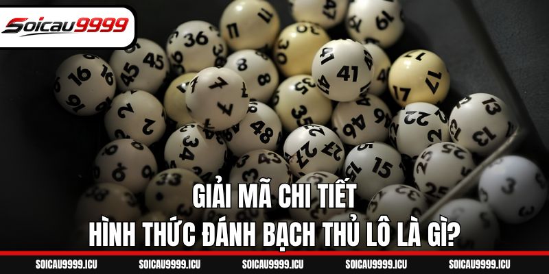 Giải mã chi tiết hình thức đánh bạch thủ lô là gì?