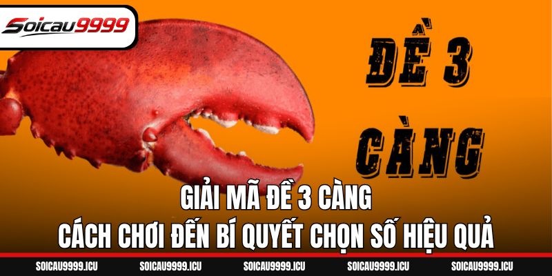 Giải Mã Đề 3 Càng - Cách Chơi Đến Bí Quyết Chọn Số Hiệu Quả