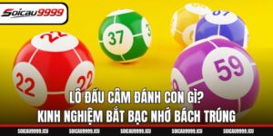 Lô Đầu Câm Đánh Con Gì? Kinh Nghiệm Bắt Bạc Nhớ Bách Trúng