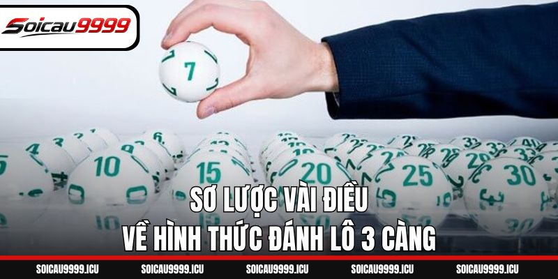 Sơ lược vài điều về hình thức đánh lô 3 càng